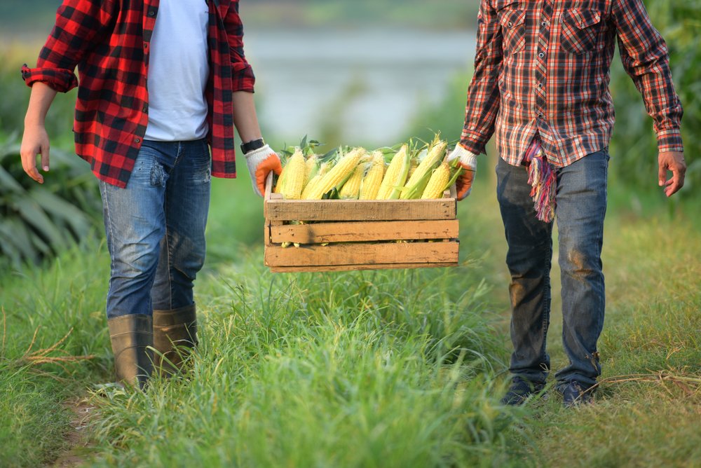 Technologies for Agricultural Cooperatives in New Jersey Technologies for Agricultural Cooperatives in New Jersey
