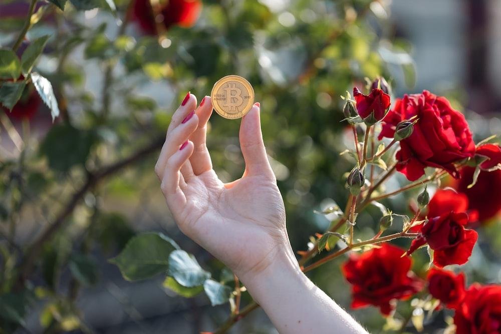 Cryptocurrency donations are booming as the calendar winds down