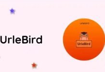 Magic of Urlebird Dive into the Digital Revolution Magic of Urlebird Dive into the Digital Revolution